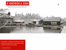 Tablet Screenshot of egeorge.co.uk